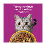 Whiskas dry cat food with chicken 800g (British brand)