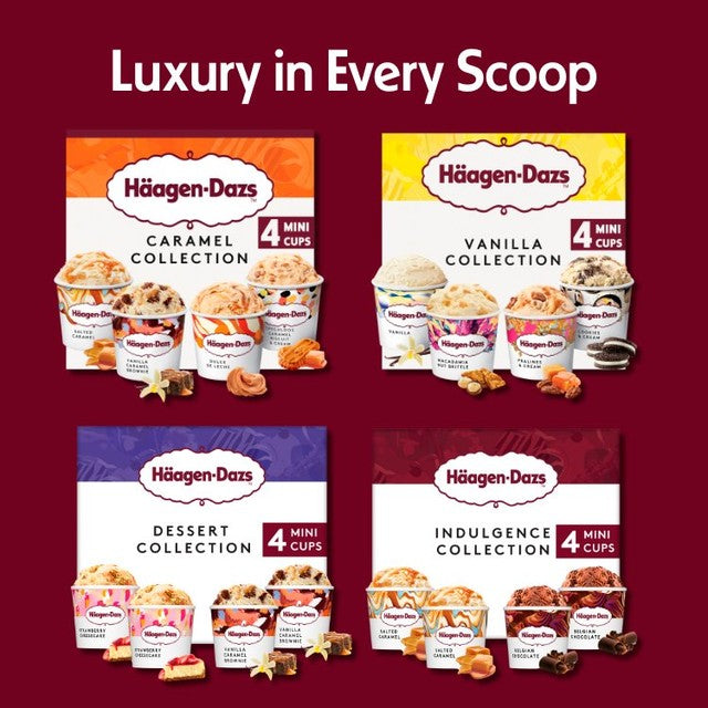 Häagen-Dazs Mini Becher Eis gesalzenes Karamell Belgische Schokolade 4x95ml, UK-Version