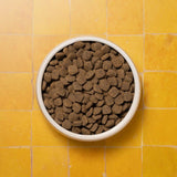 Pooch & Mutt Senior dog food 1.5kg, imported from the UK