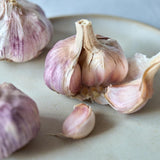 Natoora purple garlic 2 per pack, imported from the UK