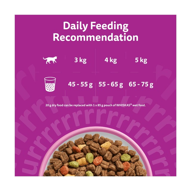 Whiskas dry cat food with salmon 800g (British brand)