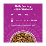 Whiskas dry cat food with salmon 800g (British brand)