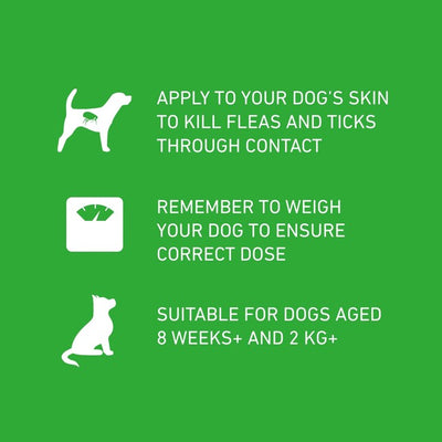 Frontline Plus Traitement pour puces et tiques pour chien moyen Contrôle des puces 10-20 kg