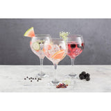 Ravenhead Entertain gin glasses 6-pack, imported from the UK
