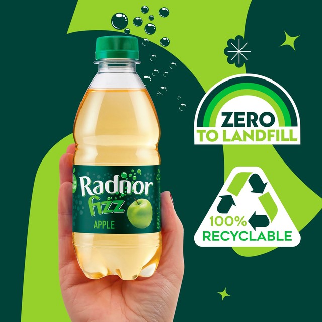 Radnor Fizz Apple sparkling soft drink 4 x 330ml, imported from the UK