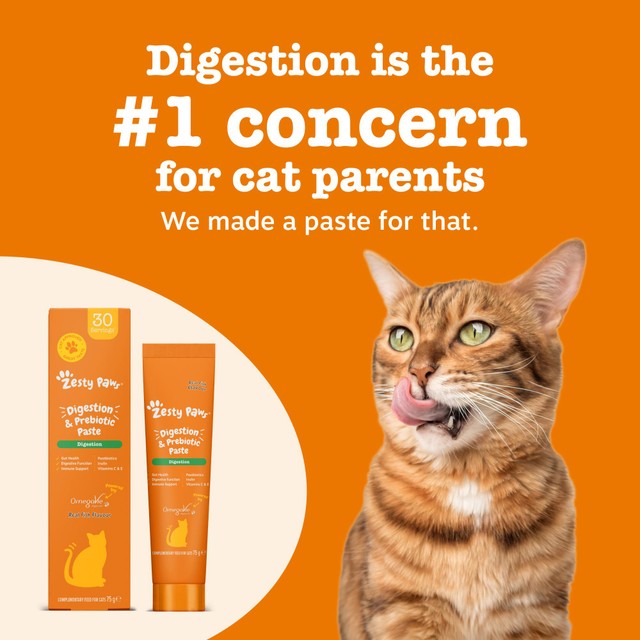 Zesty Paws Calming Paste for Cats, imported from the UK