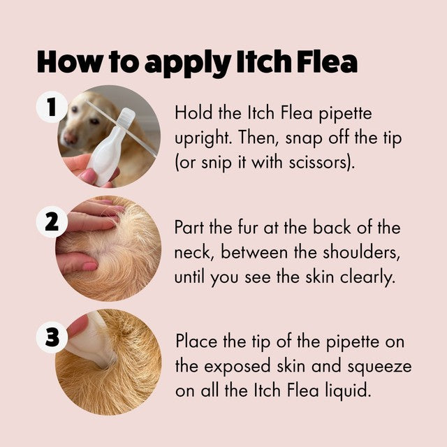 Itch flea spot-on treatment for large dogs 20-40kg, UK version