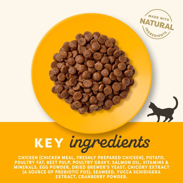 Applaws dry cat food Adult Chicken 2kg - British product