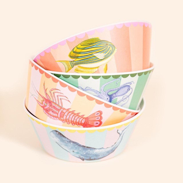 Yvonne Ellen picnic bowls 4 pack (British brand)