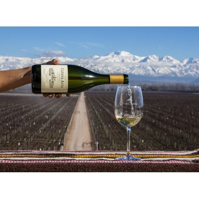 Catena Alta Chardonnay white wine 75cl - British product
