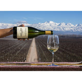 Catena Alta Chardonnay white wine 75cl - British product