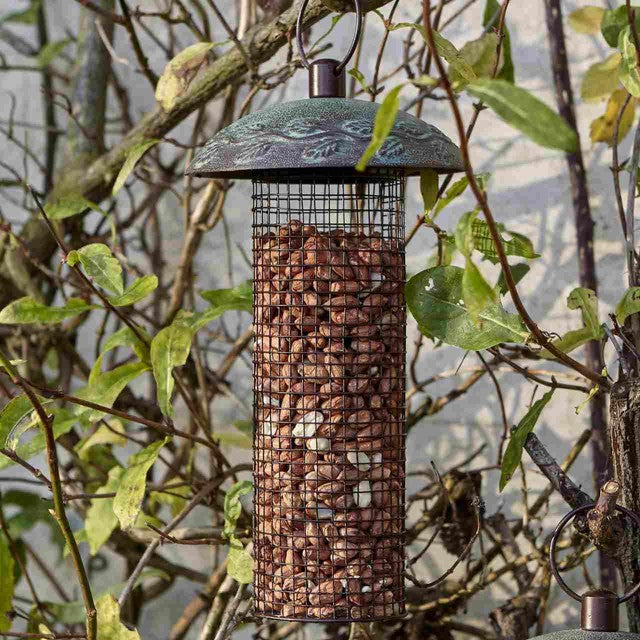 Peckish Peanuts for Wild Birds 1kg, imported from the UK