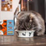 HiLife tuna and mackerel in jelly wet cat food multi-pack pouches, UK version