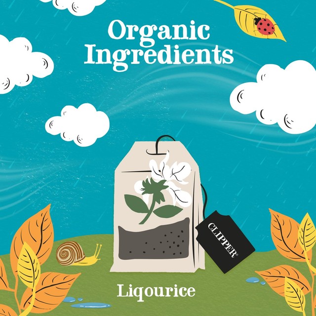 Clipper Organic Liquorice Teabags 20ct, UK version