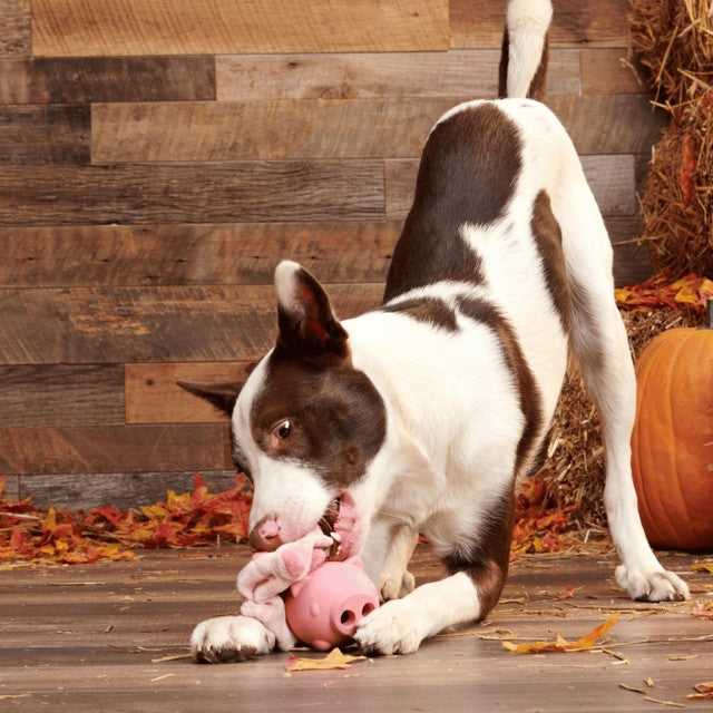 Bark Hambone dog toy - British product