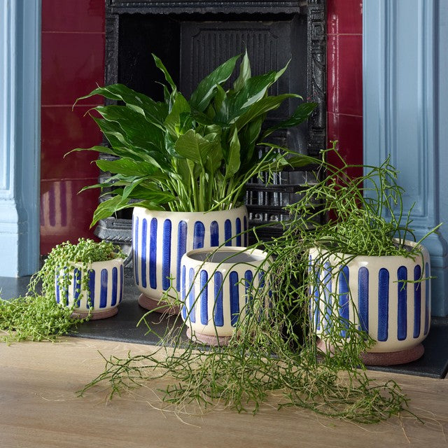 Burgon & Ball blue stripe indoor stoneware pot 16cm (British brand)