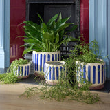 Burgon & Ball blue stripe indoor stoneware pot 16cm (British brand)