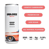 Gin & Juice melon flavoured canned gin cocktail 250ml, UK version