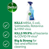 Dettol Bathroom Cleaner Spray Fresh Mountain Spring 750ml - British product