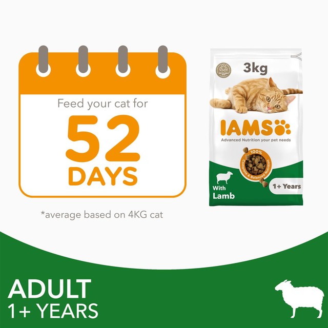 IAMS adult dry cat food lamb 3kg, UK version