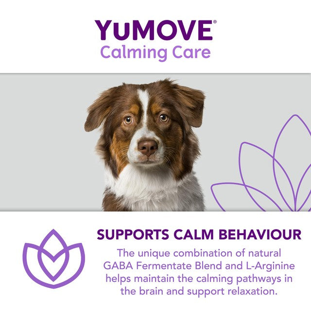 Lintbells dog stress and anxiety calming supplement (British brand)
