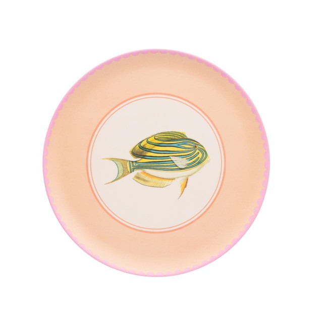 Yvonne Ellen picnic dinner plates 4 per pack (British brand)