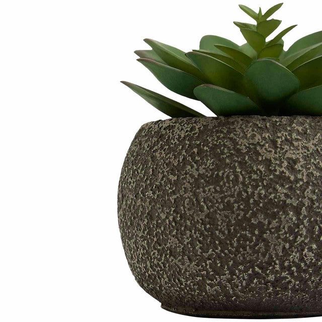 M&S green artificial succulent pot one size, imported from the UK