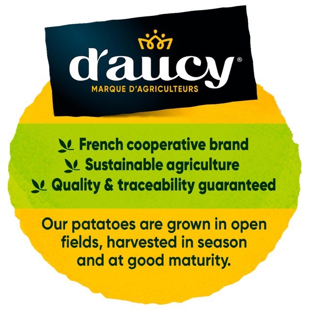 D'aucy canned potatoes in water 400g - British product
