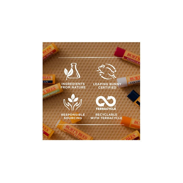 Burt's Bees lip balm multipack with Beeswax, Cucumber Mint, Watermelon, Sweet Mandarin flavours 4 x 4.25g - British product