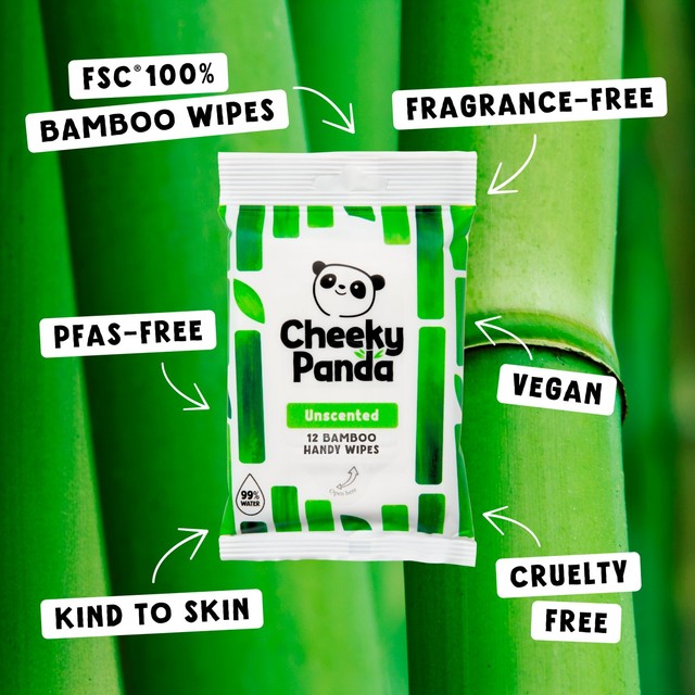 The Cheeky Panda unscented bamboo baby wipes (British brand)