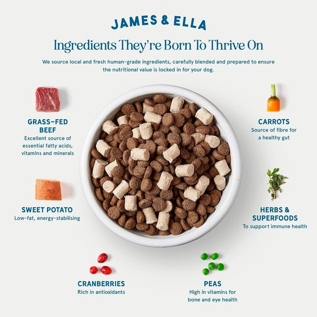 James & Ella kibble and freeze-dried raw beef dog food 1.5kg, UK version