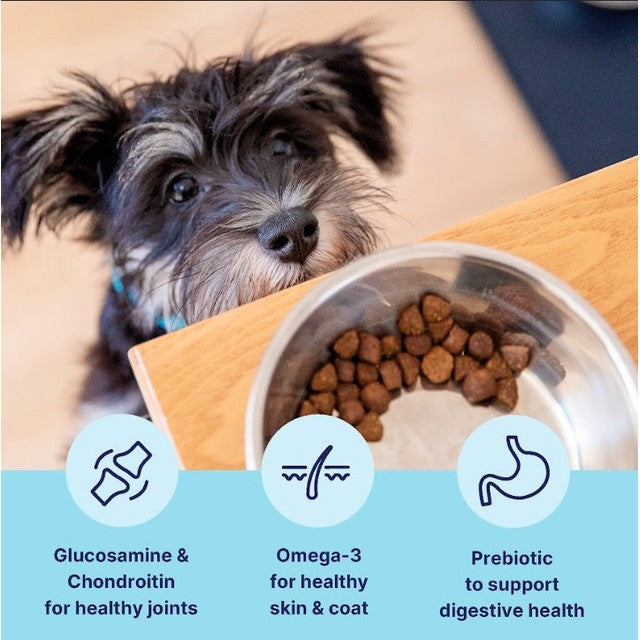Tails Inner Vitality Toy & Small Adult Chicken dry dog food 2kg (British brand)