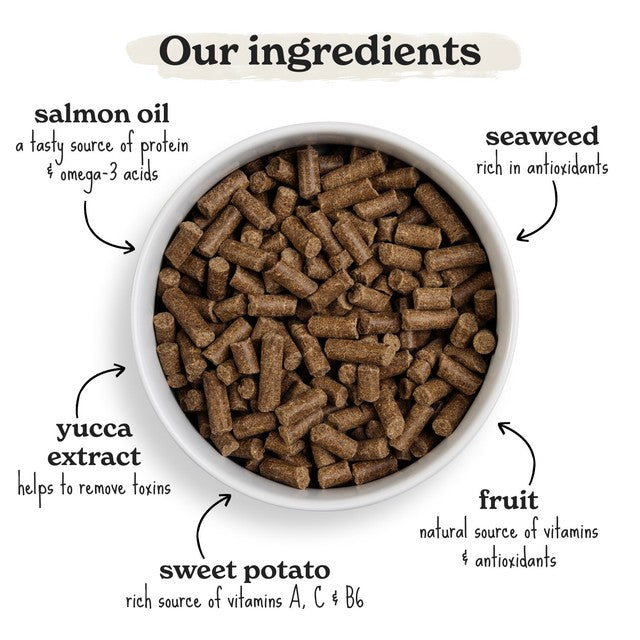Forthglade Salmon with Sweet Potato Dog Food 2kg - British product