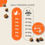 IAMS senior dry cat food tuna - British product
