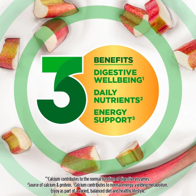 Activia Rhubarb Yogurt Multipack 4 x 115g - British product