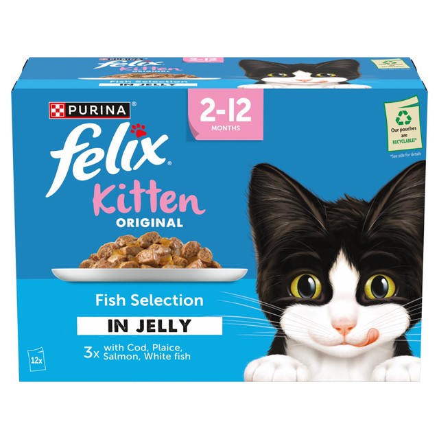 Felix Kitten wet cat food 12x85g - British product