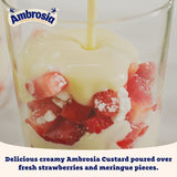 Ambrosia Devon custard 500g carton - British product