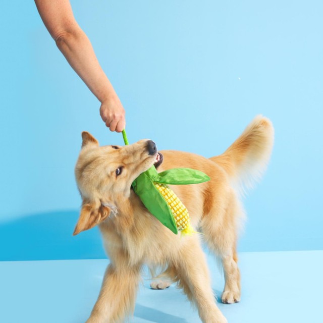 Bark Corn On The Slob dog toy - British product