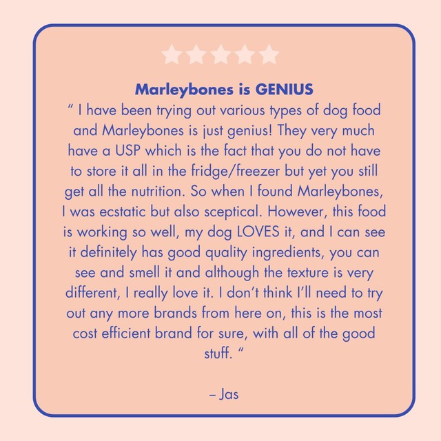 Marleybones wet dog food Salmon & Superfoods 390g, imported from the UK