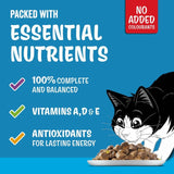 Felix senior cat food fish selection jelly 12x85g - British product