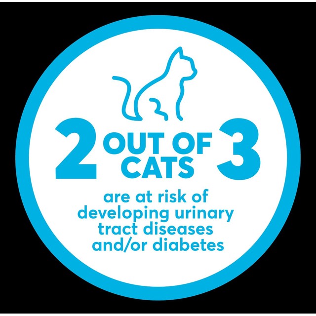 Intersand OdourLock maxCare cat litter 12kg, UK version