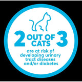 Intersand OdourLock maxCare cat litter 12kg, UK version