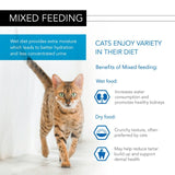 Pro Plan NutriSavour Delicate wet cat food with ocean fish (British brand)