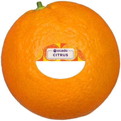 Ocado Orange Fresh Fruit Minimum 67mm