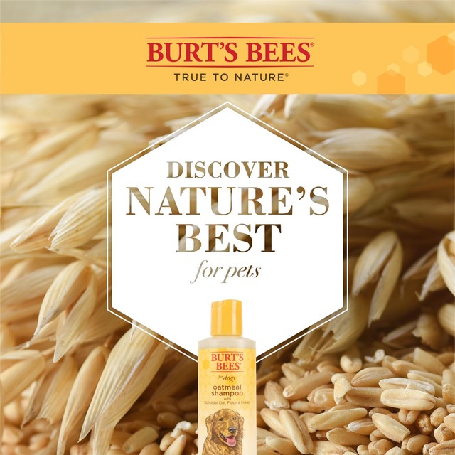 Burt's Bees oatmeal dog shampoo 473ml - British product