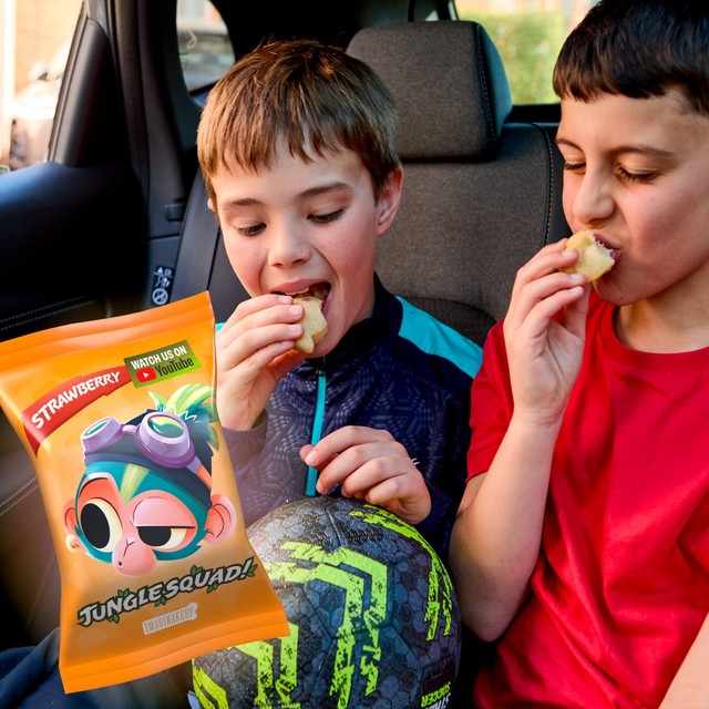 Jungle Squad lemon cake bars individually wrapped, imported from the UK