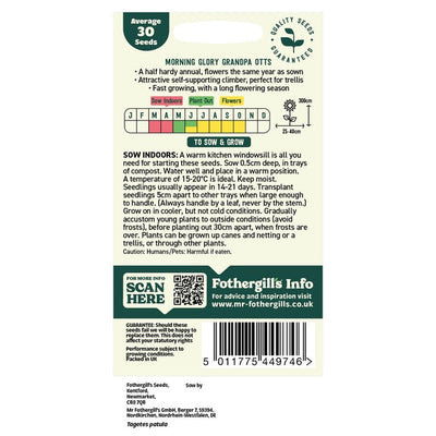 M&S Mr Fothergills Seeds Oh Sow Simple Prunkwinde Lila Blumensamen 30 Samen - Online bei McGrocer kaufen