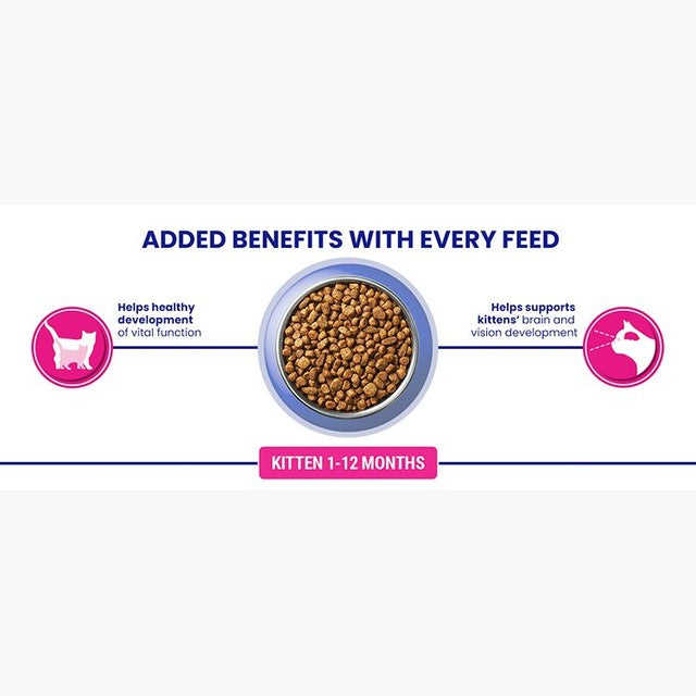 Purina ONE kitten chicken dry cat food 750g - British product