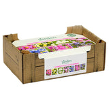 Mixed Flower Bulbs Collection – 100 Bulbs Including Dahlia, Anemone, and More