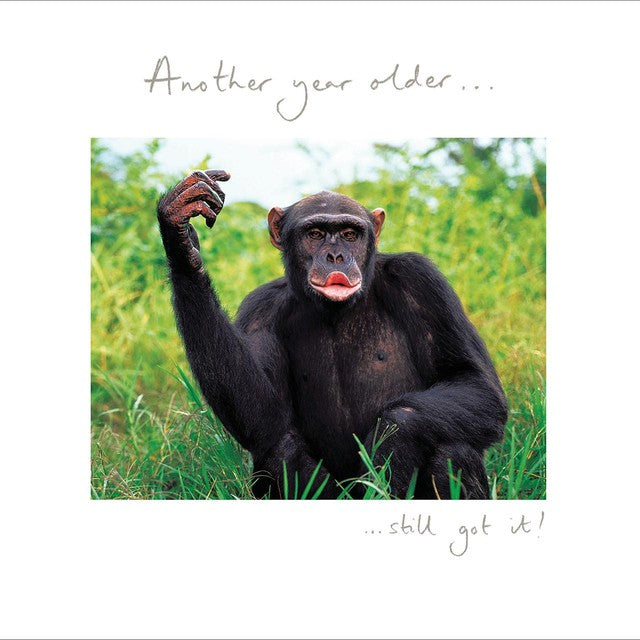 Woodmansterne Still Got It Birthday Card 160mm (British brand)